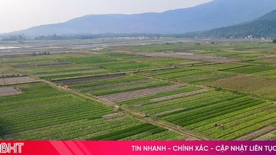 Can Loc meningkatkan nilai produk pertanian.