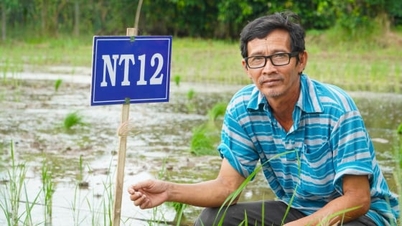 Con discrezione, ha contribuito con decine di varietà di riso al delta del Mekong.