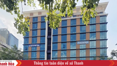 Vietcombank Thanh Hoa sedang mengkonsolidasikan jaringan operasionalnya dan meningkatkan efisiensi manajemen sejalan dengan prinsip-prinsip pembangunan berkelanjutan.