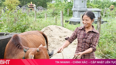 ដំណើរកាត់បន្ថយភាពក្រីក្រពហុវិមាត្រនៅឃុំព្រៃភ្នំហឿងដូ។
