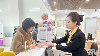 Het opgehaalde kapitaal in de provincie Thai Nguyen bedroeg 149,8 biljoen VND.