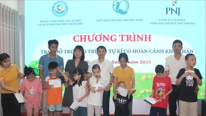 ศูนย์ฮานอยเพื่องานสังคมสงเคราะห์และกองทุนคุ้มครองเด็ก:
