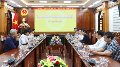 Le vice-président du Comité populaire provincial, Nguyen Tu Cong Hoang, travaille avec la délégation de la Banque mondiale.