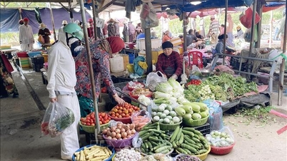 انخفضت أسعار الخضراوات في خان هوا تدريجياً.