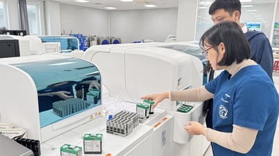 Visiting Ninh Binh to see doctors at Bach Mai and Viet Duc hospitals (Part 2): High-quality human resources