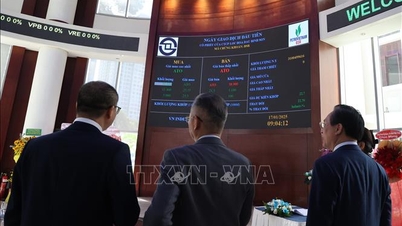 A VN-index kismértékben emelkedett a származtatott ügyletek lejáratának napján.