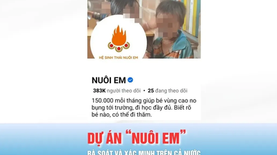 Quang Ngai: Uitgebreide evaluatie van het liefdadigheidsproject "Nurturing Children".