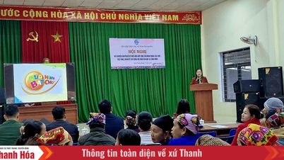 Dialog kebijakan dan pemantauan implementasi kesetaraan gender di komune Tam Chung.
