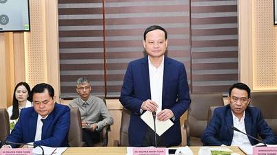 Stálý místopředseda provinčního lidového výboru Nguyen Manh Tuan pracuje s delegací finského velvyslanectví ve Vietnamu.