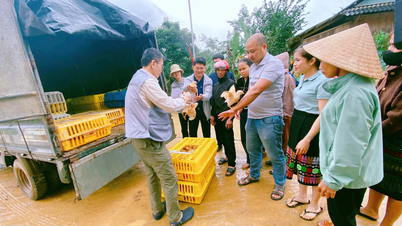 គាំទ្រគំរូចិញ្ចឹមមាន់ពូជ Ri សម្រាប់សហគមន៍ជនជាតិភាគតិច។