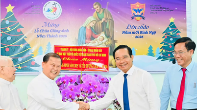 The Chairman of the People's Committee of Ho Chi Minh City visits and extends Christmas greetings to outstanding organizations and individuals.