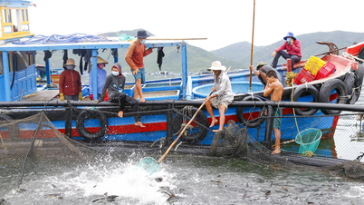 ជំរុញការកែច្នៃអាហារសមុទ្រសម្រាប់នាំចេញ។