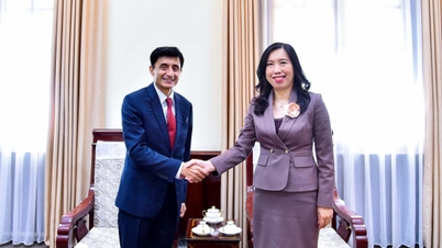La viceministra Le Thi Thu Hang recibe al asesor de policía de las Naciones Unidas