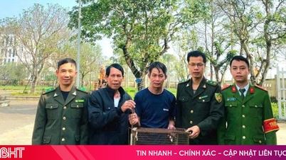 ពេល​មនុស្ស​ចាប់​សត្វ​កម្រ​បាន ពួកគេ​ប្រគល់​វា​ទៅ​ឲ្យ​អាជ្ញាធរ។