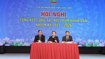 Summary of the work of people's assessors for the term 2021-2026