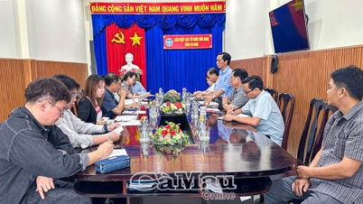 ខេត្ត Ca Mau ពង្រឹងកិច្ចសហប្រតិបត្តិការជាមួយអង្គការ Corea Peace3000។