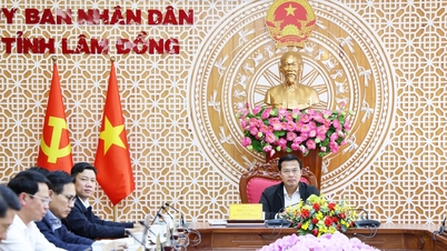 ខេត្ត Lam Dong បានបញ្ចប់ 100% នៃភារកិច្ចដែលបានកំណត់ក្នុងសេចក្តីសម្រេចចិត្តលេខ 57។