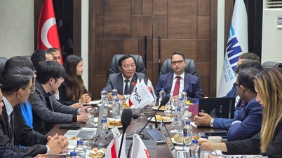 A kikötői és logisztikai együttműködés előmozdítása Hai Phong és Mersin város (Törökország) között.