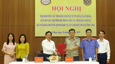 កាម៉ៅ៖ ការពង្រឹងការសម្របសម្រួលក្នុងការអនុវត្តសាលក្រមរដ្ឋប្បវេណីក្នុងវិស័យឥណទាន និងធនាគារ។