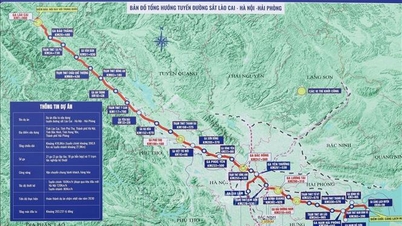 A linha ferroviária Lao Cai - Hanói - Hai Phong abre um eixo de transporte estratégico no sentido leste-oeste.