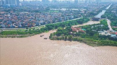 បង្កើតគណៈកម្មាធិការអាងទន្លេចំនួនបួននៅតំបន់ភាគខាងជើង ខាងជើងកណ្តាល ខាងត្បូងកណ្តាល និងភាគអាគ្នេយ៍នៃប្រទេសវៀតណាម។
