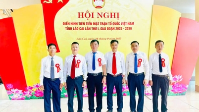 ភុង ថេតៃ - កសិករជំនាញម្នាក់នៅក្នុងព្រៃដ៏ធំល្វឹងល្វើយនៃបាវយ៉េន