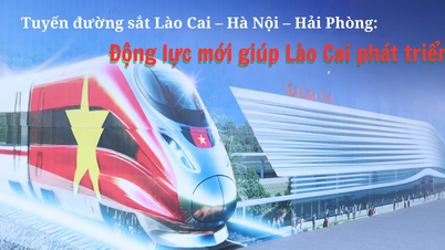 កម្លាំងចលករថ្មីសម្រាប់ការអភិវឌ្ឍរបស់ខេត្តឡាវកាយ។