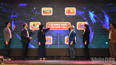 ទីក្រុងដាណាង បានដាក់ឱ្យដំណើរការប្រព័ន្ធអេកូឡូស៊ីកម្មវិធីខ្នាតតូច 5-Star ដើម្បីអភិវឌ្ឍផលិតផលក្នុងស្រុកពិសេសៗ។