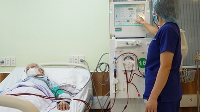 Bubble tea, mixed rice paper salad, energy drinks… pose a risk of kidney failure in young people.