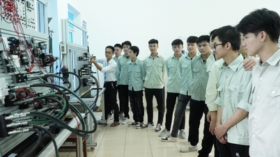 The universities under the Ministry of Industry and Trade provide human resources for key industries.