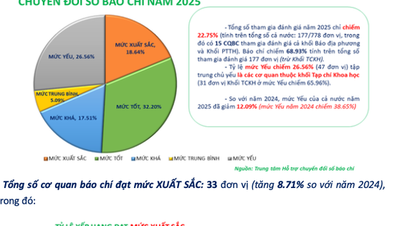 Công bố kết quả đánh giá mức độ trưởng thành Chuyển đổi số báo chí năm 2025