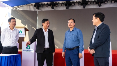 Les ménages exemplaires participant au défrichement sont invités à assister à la cérémonie d'inauguration du parc industriel Luong Dien - Ngoc Lien.