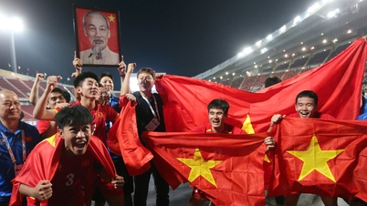 Emotional moment as Vietnam U22 team wins gold medal at SEA Games 33