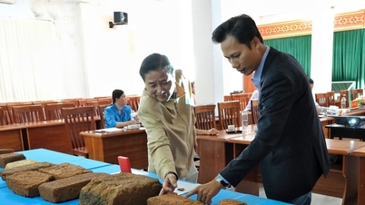 Die Provinz Gia Lai bereitet ein Dossier vor, um den An Phu Cham Turm als historische Stätte auf Provinzebene vorzuschlagen.
