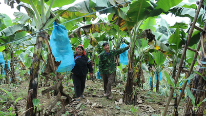 Economic models that have transformed the landscape of Bản Mo.