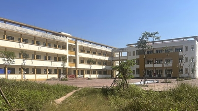 Попытки «спасти» две заброшенные школы стоимостью в несколько миллионов долларов.
