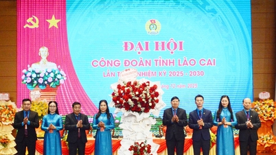 សមាជសហជីពខេត្តឡាវកាយ បោះពុម្ពលើកទីមួយ៖ បំពេញតួនាទីយ៉ាងសកម្មក្នុងការតំណាង និងការពារសិទ្ធិ និងផលប្រយោជន៍ស្របច្បាប់របស់កម្មករ។