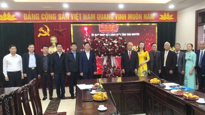 Liderii provinciei Thai Nguyen au vizitat orașul și și-au transmis cele mai bune urări cu ocazia Crăciunului.