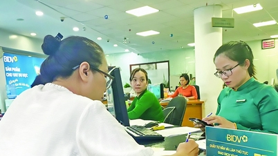 Upgraded bank ratings attract new capital.