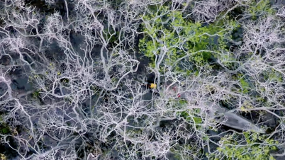 Une vision poétique de la nature de Hué dans la vidéo lauréate du concours de création de clips vidéo « Impressions du tourisme vietnamien ».