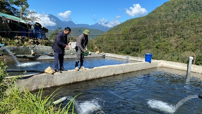 Sin Suoi Ho commune strives to reduce poverty.