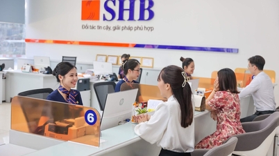 SHB កំពុងអនុវត្តការបង្កើនដើមទុនដល់ជាង ៥៣.៤០០ ពាន់លានដុង។