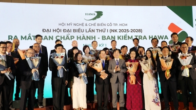 Merging the two largest timber associations will be a catalyst for the breakthrough of the timber industry in the South.