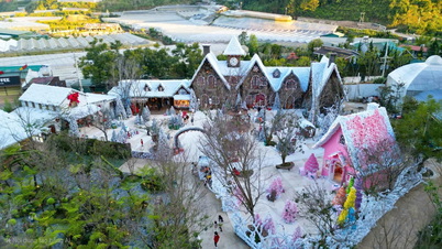 Discover the Snow Village in winter amidst the mountain town of Da Lat.