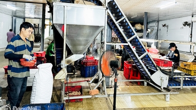 Cẩm Mỹ với mục tiêu hình thành trung tâm chế biến nông sản