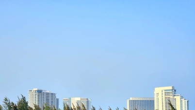 Façonner l'identité de l'hébergement haut de gamme à Da Nang.
