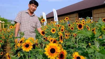 សូមកោតសរសើរកំរាលព្រំផ្កាដែលដាំពីពូជផ្កាចំនួន ១០០ ផ្សេងៗគ្នានៅក្នុងភូមិផ្កា Sa Dec។