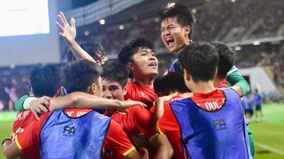 Prim-ministrul a trimis o scrisoare de felicitare echipei masculine de fotbal a Vietnamului U22 și echipei naționale feminine de futsal a Vietnamului pentru câștigarea medaliei de aur la cea de-a 33-a ediție a Jocurilor SEA.