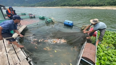 Nông dân miền núi thoát nghèo nhờ nghề ‘sông nước’