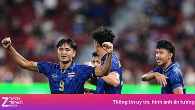 Thailand U22 coach called 'stupid'
